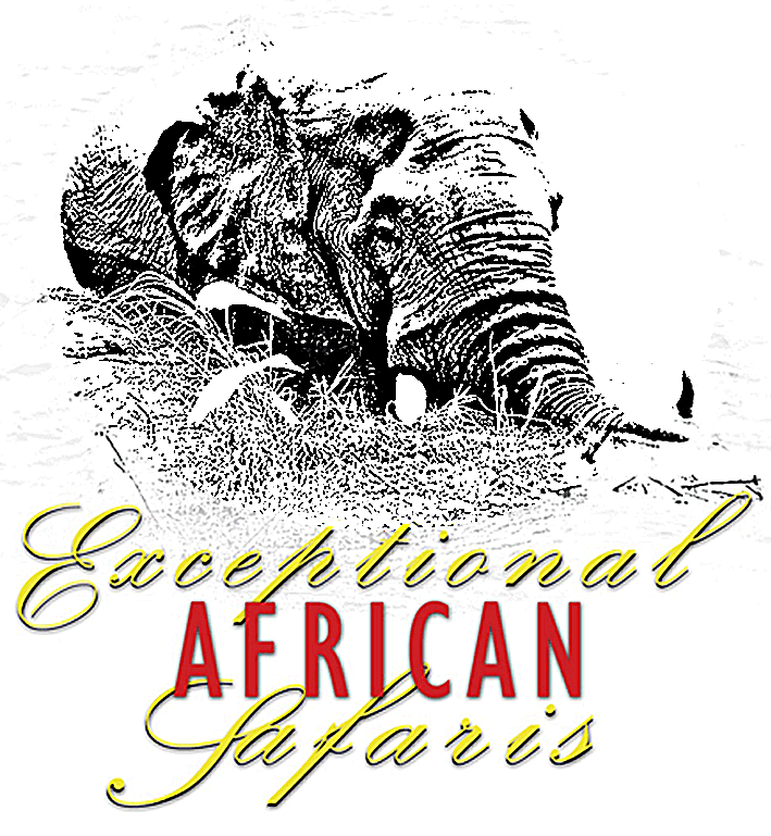 Exeptional Safaris